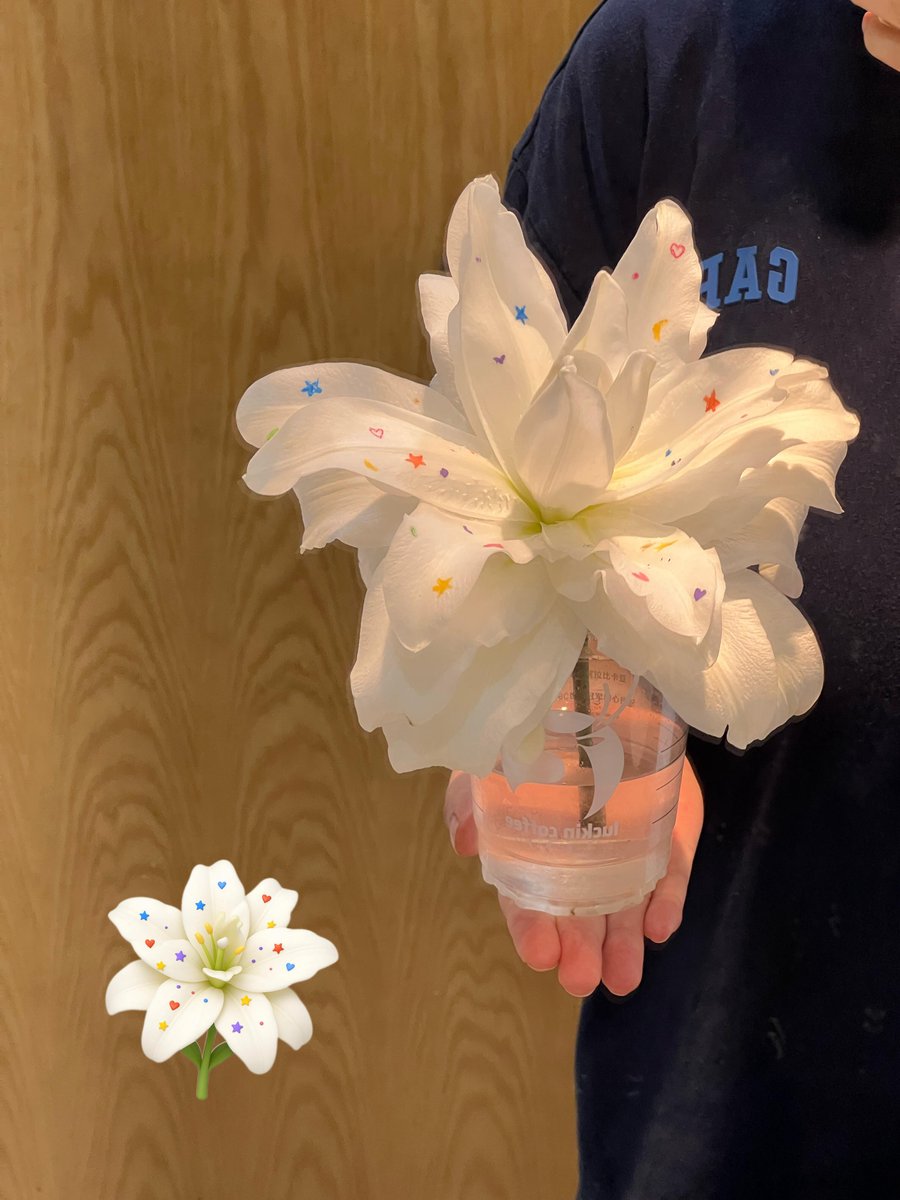 UnaHai_H's tweet image. When your flowers are happier than your Tuesday mood. 😂
Transformed this Aussie-inspired bouquet into stickers to spam your group chats with joy! 💥💐

Download link in bio 👆#StickerSpam #MondayMood #AussieHumor #DigitalFlowers #FreeStickers #GroupChatFun #TGIF