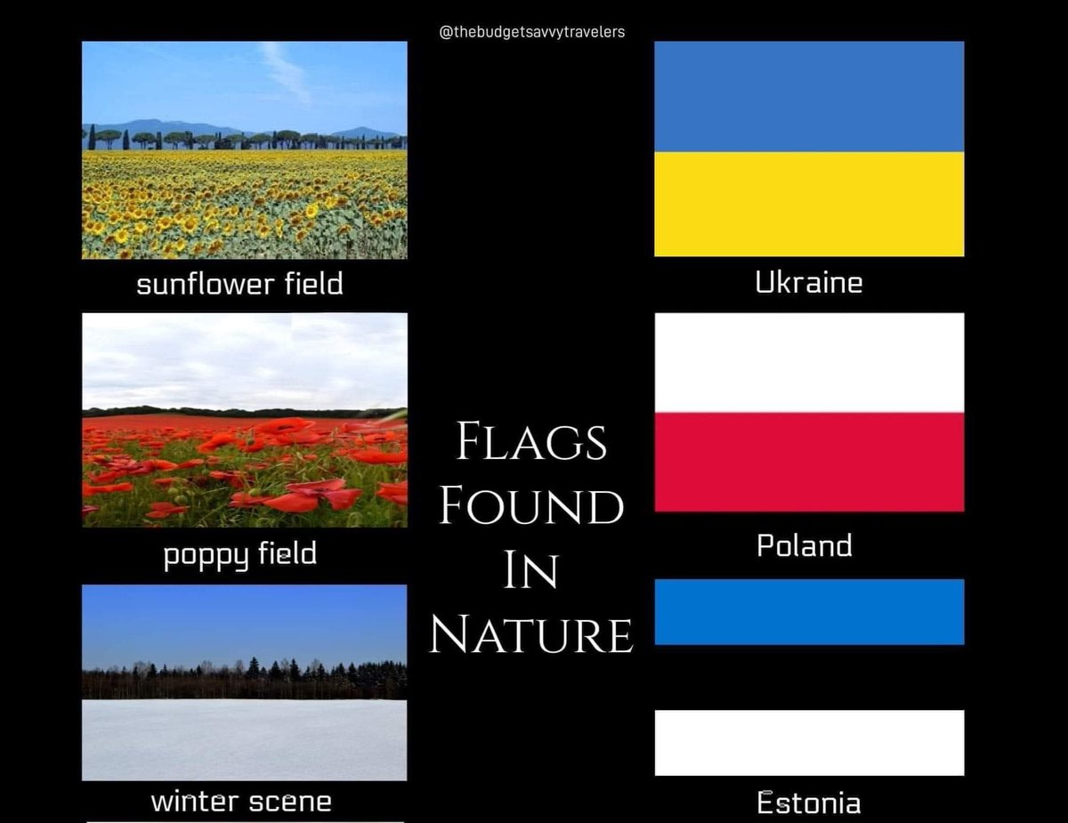 Ilja Andrejev (@iljaandreev) on Twitter photo 