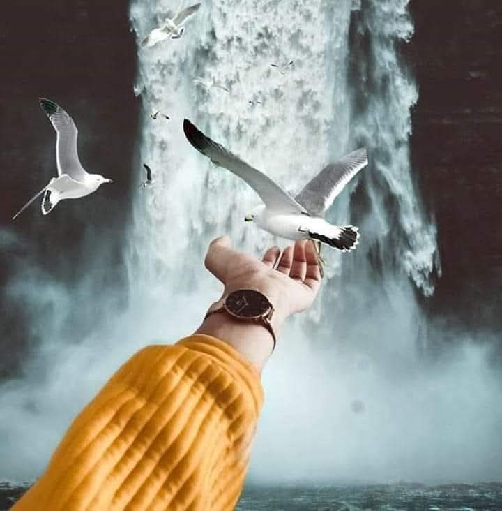 "
"
Hissetmek gönül insanlarının işi…
Çok konuşmasan da, onlar seni anlar...
"
"
#Vuslat
#ömür... 💧