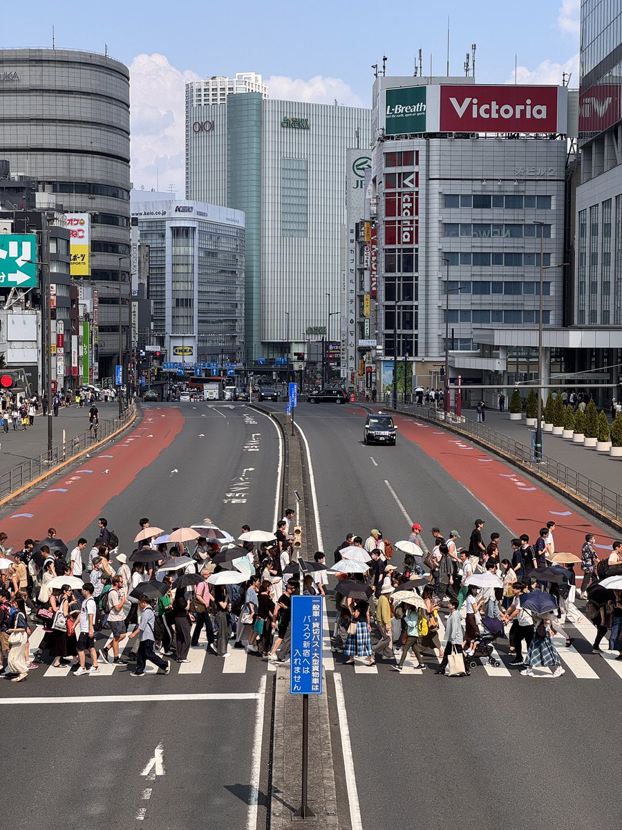 Japan 🇯🇵 #tokyo #kyoto