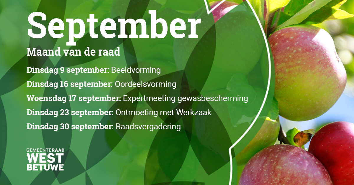 Het zomerreces is weer voorbij!
Maand van de raad: september🍎

Bekijk hier welke vergaderingen de gemeenteraad heeft in de maand #september.

Meer informatie over de onderwerpen en de mogelijkheden om mee te praten tijdens de vergaderingen vind je op gemeenteraad.westbetuwe.nl.
