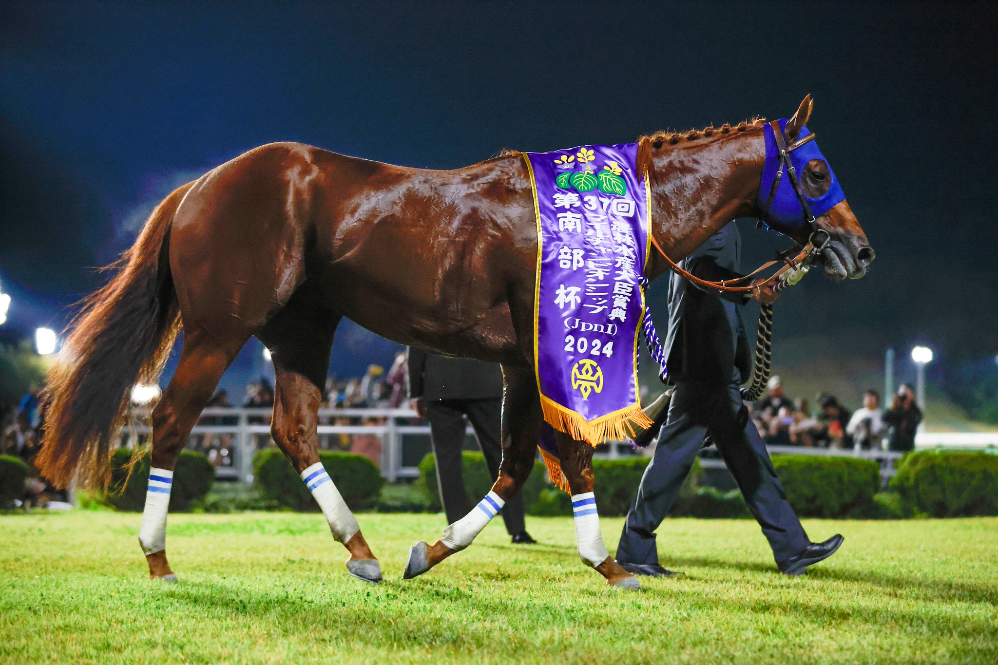 競馬　レモンポップ　ブルゾン　ゴドルフィン Darley in Japan on X: 