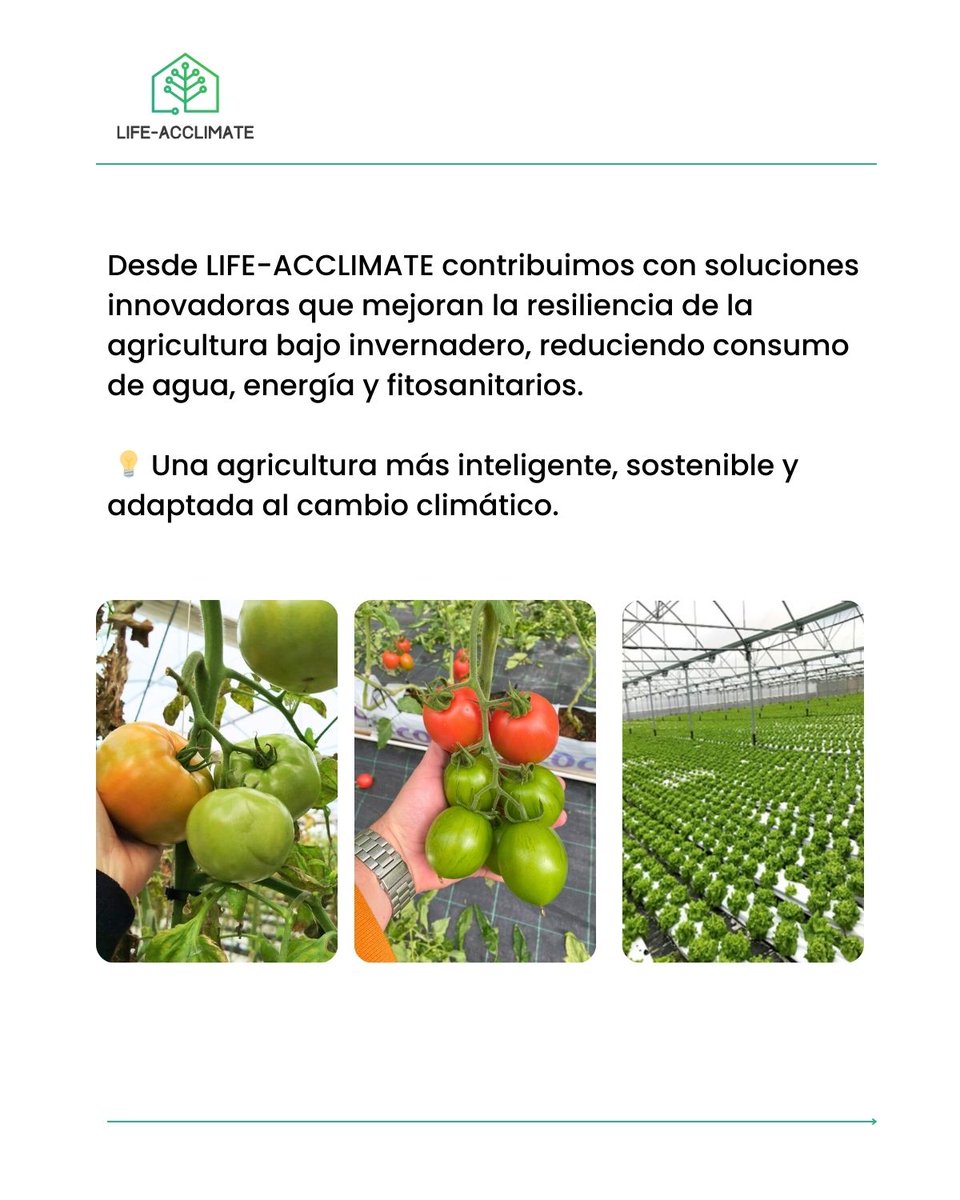 🌍 Hoy es el Día Mundial de la Agricultura.
LIFE-ACCLIMATE aporta innovación en invernaderos para reducir agua, energía y químicos.
Conócenos 👉 life-acclimate.eu

#GreenhouseInnovation #PrecisionAgriculture #ClimateChange #sustainablefarming