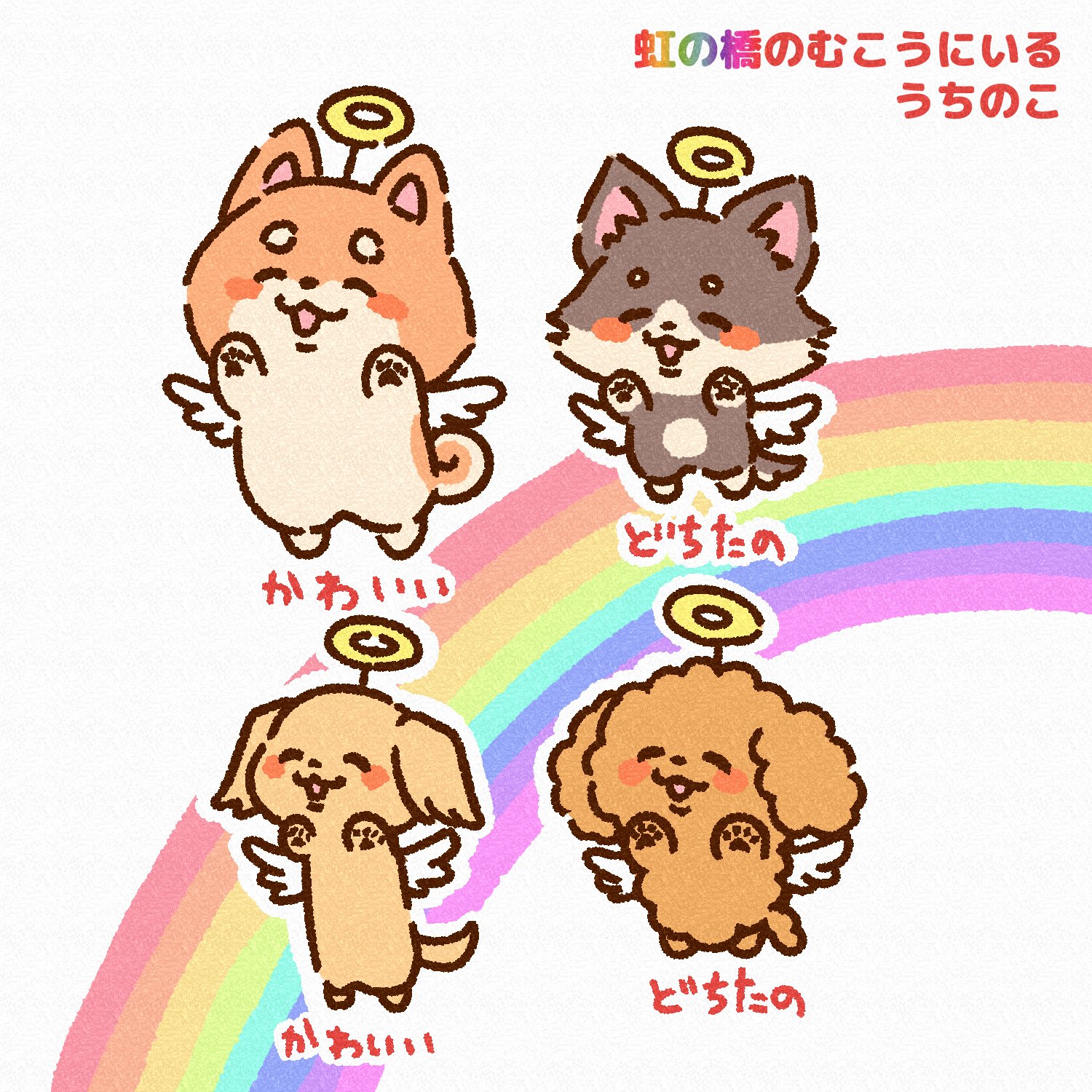 犬のきなこ (@bokukinakodayo) / X