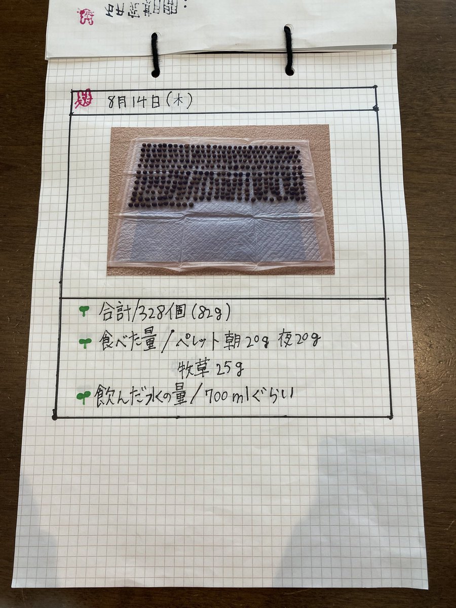 小4娘の夏休みの自由研究。こんなレポートでもまとめるのに丸1日かかったのに(研究期間は7日)友達はおろか先生からも何のコメントなかったって悲し過ぎるからここに載せる。学校もさ先生忙しくてちゃんと見れない評価できないなら自由研究とか工作とか必須の宿題にしないで欲しい。