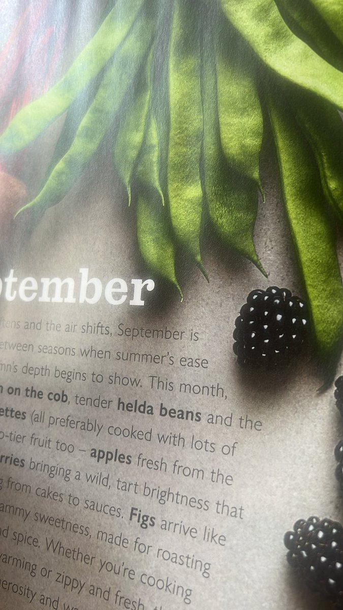 When did people start calling runner beans helda beans?

It all seems very woke and unnecessary.