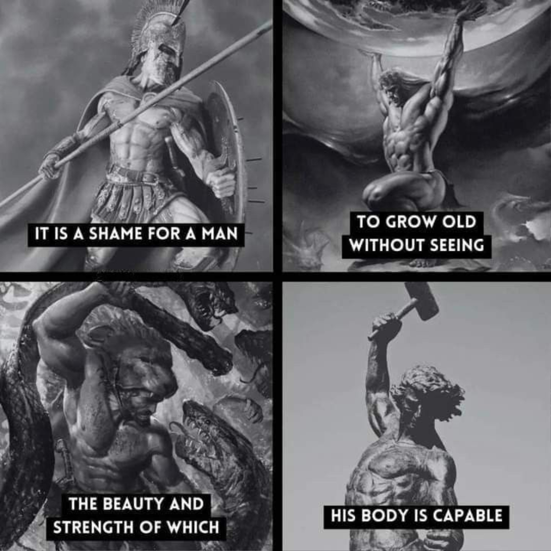 It is a mark of deep degeneration when a White man, surrounded by comforts and distractions, consents to drift into age without once testing the full measure of sinew, discipline, and ancestral power that nature had entrusted to him for the defense of his people.