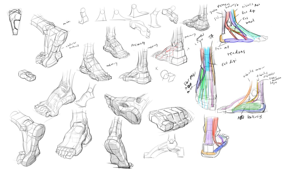 desquolor tweet media