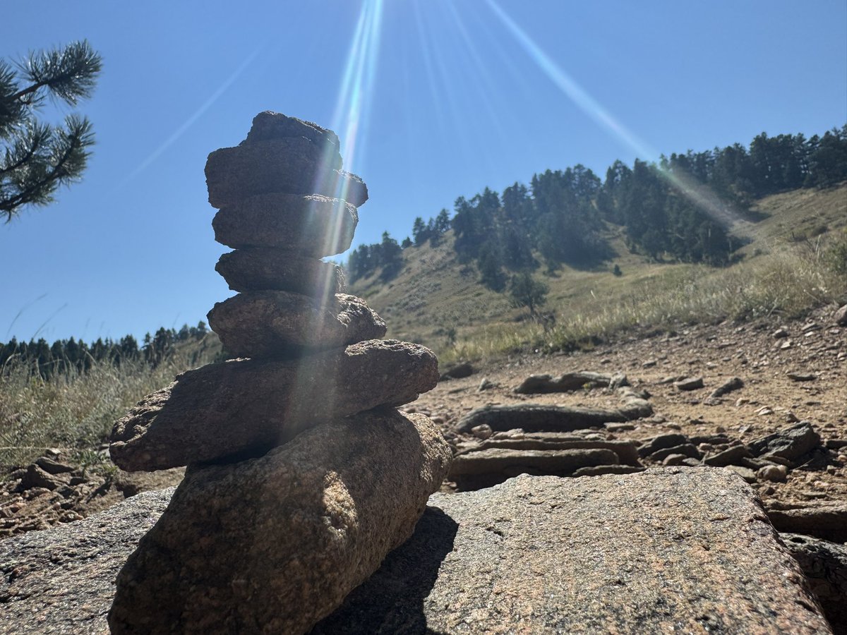 TheRealOD's tweet image. 🦌