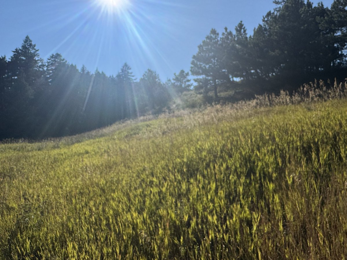 TheRealOD's tweet image. 🦌