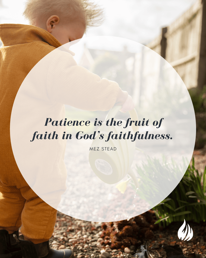 WisdomHunters's tweet photo. A Lesson from the Garden
By Mez Stead
Continue reading on our website – https://t.co/Xngudv1FwT
–OR–
On the Wisdom Hunters app – available in the Apple and Google App stores!
#wisdomhunters #wisdom #patience #faith #Godsatwork #truth #jesus https://t.co/ADj36iaJla