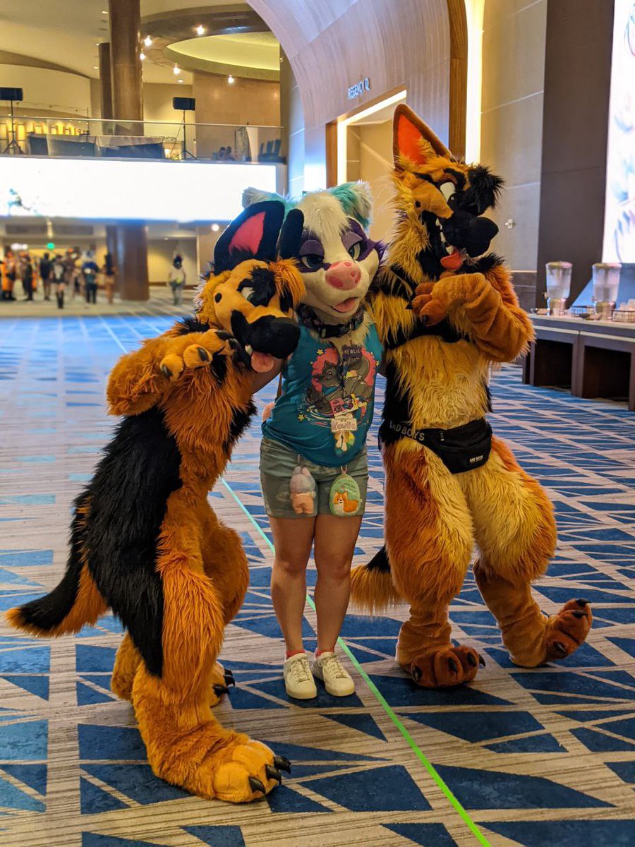 The CUTEST sheppies!! 💖 #Megaplex2025
