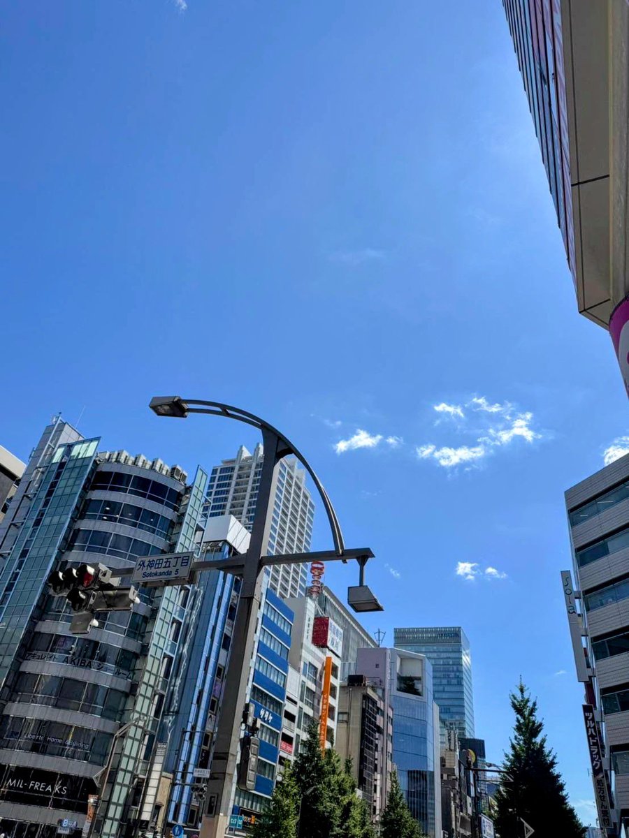 おはエスエスエー😺
#秋葉原 #末広町 #御茶ノ水 周辺の
#イマソラ ですがこちらは晴れです☀

今日はかようびです。
釧路湿原が守られることを期待しております。
てか◯ガ◯ソー◯ーは要らない
（個人的なお気持ち表明）

本日の4文字【支持表明】😺😺なり＼(^o^)／