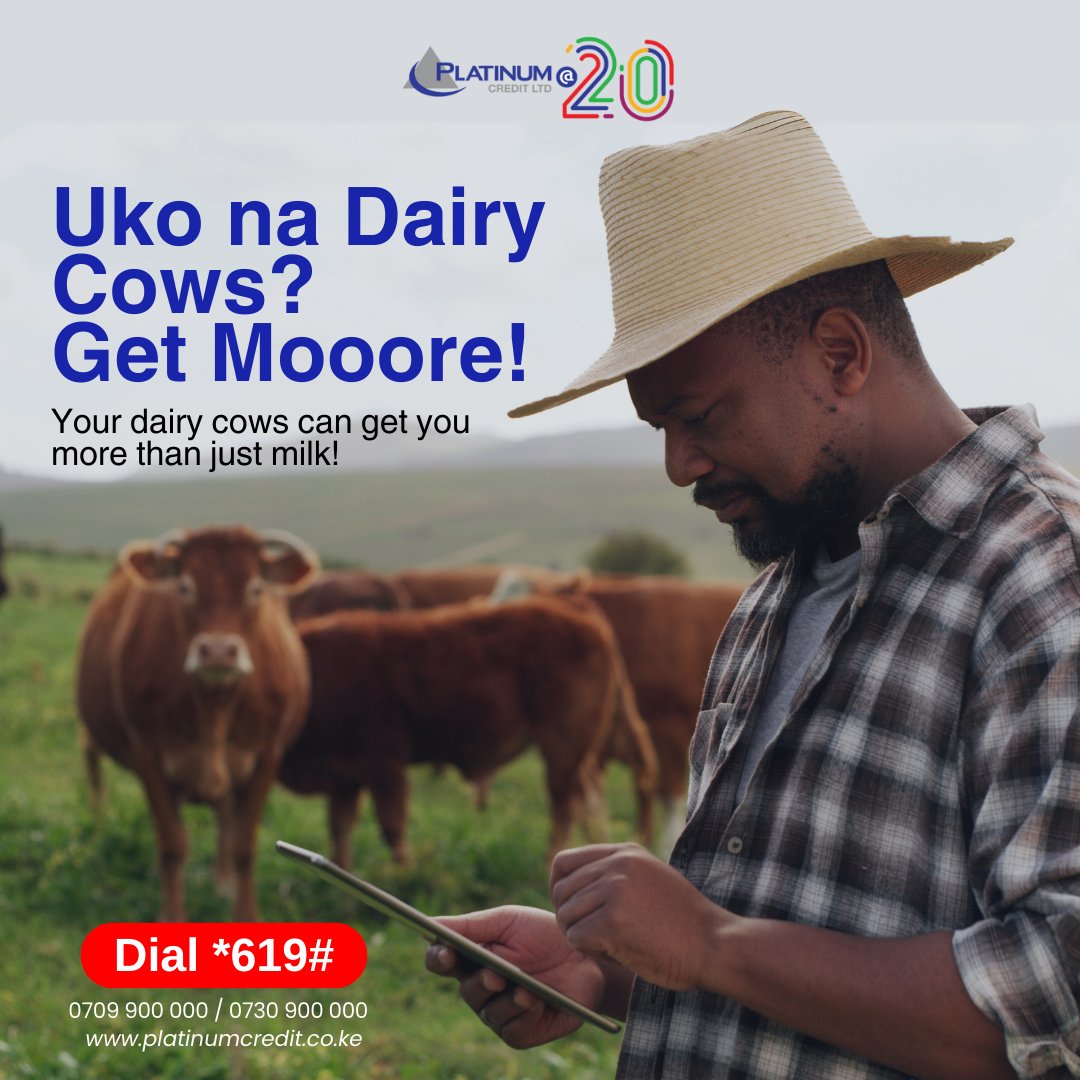 PlatinumCKenya's tweet image. Cows are not just for dairy and dowry; they can help you expand your farming business and much more! Get an Agri-financing loan to grow your dairy farm today by visiting platinumcredit.co.ke/dairy-financin… or call 0709 900 000 / 0730 900 000

#PlatinumCares #WezeshaNaPlatinum #credit…