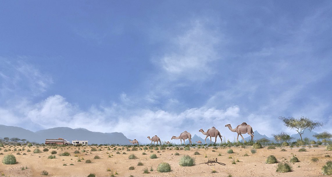 محمد الشنيفي tweet media