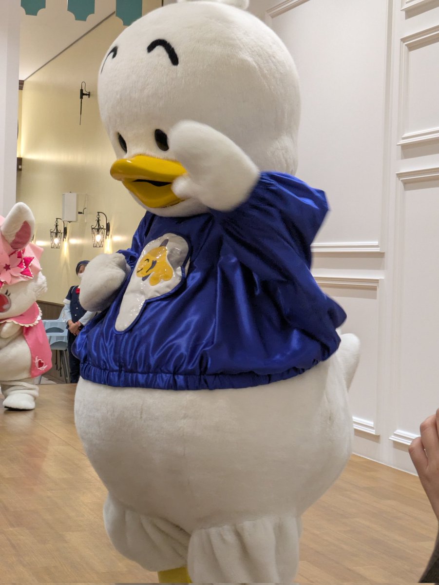 ♡ちびぐるみ♡プリンわんちゃんセット♡ キラりん (@jp5719kirarin) / X