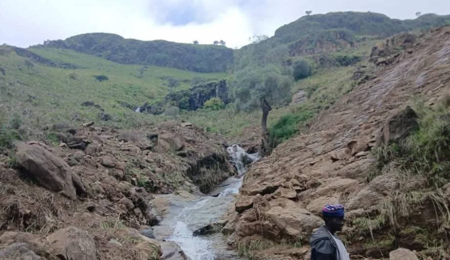 راصد الكوارث tweet media