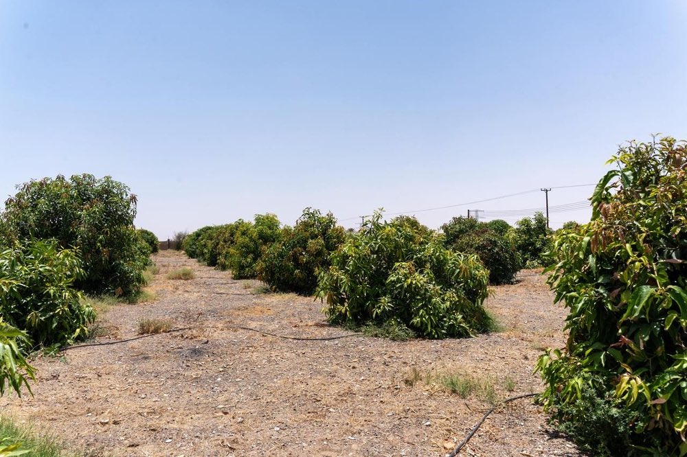 وكالة الأنباء العمانية .. طرح 12 فرصة استثمارية في محافظة البريمي.

omannews.gov.om/topics/ar/118/…