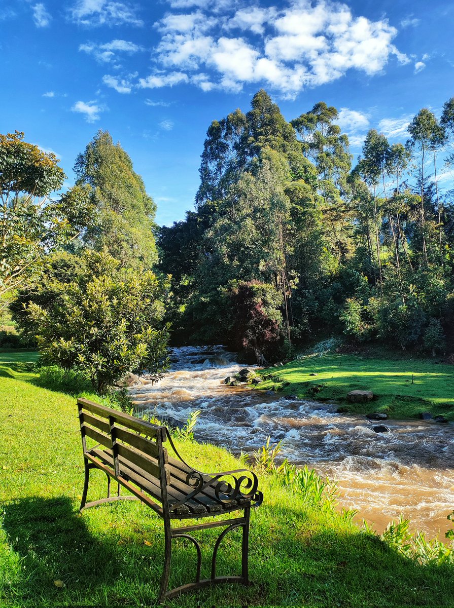 zollz's tweet image. Share a photo or photos you shot with a phone.