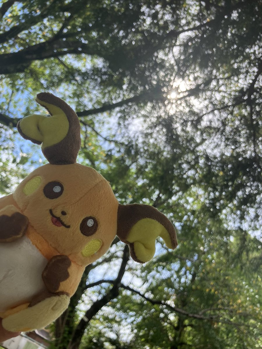 あついね、ライチュウ