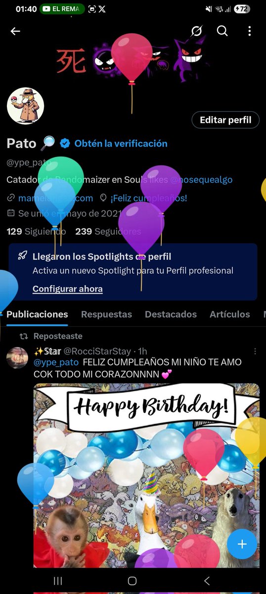 Pato 🔎 tweet media