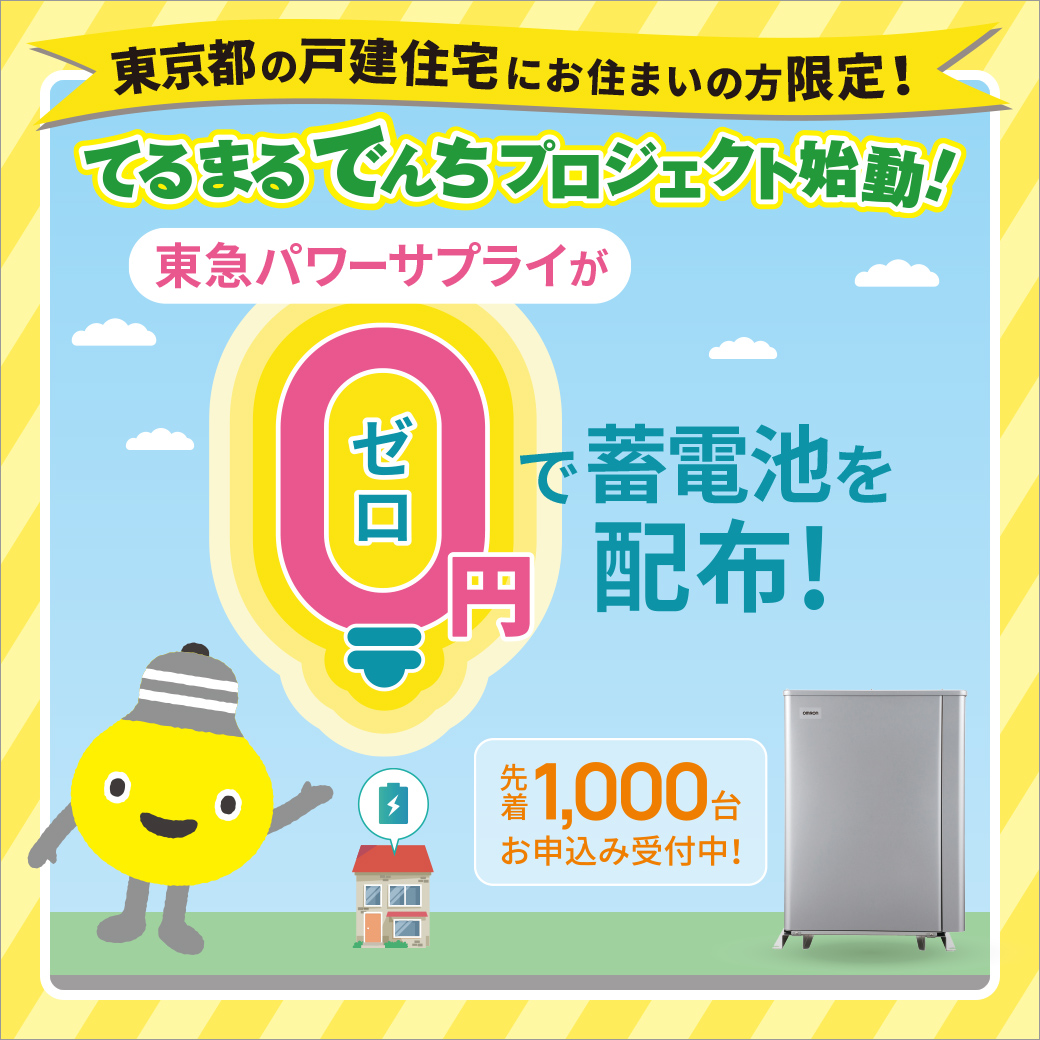 非売品　完品　東急パワーサプライ　てるまるオリジナルPASMO 非売品 完品 東急パワーサプライ てるまるオリジナルPASMO
