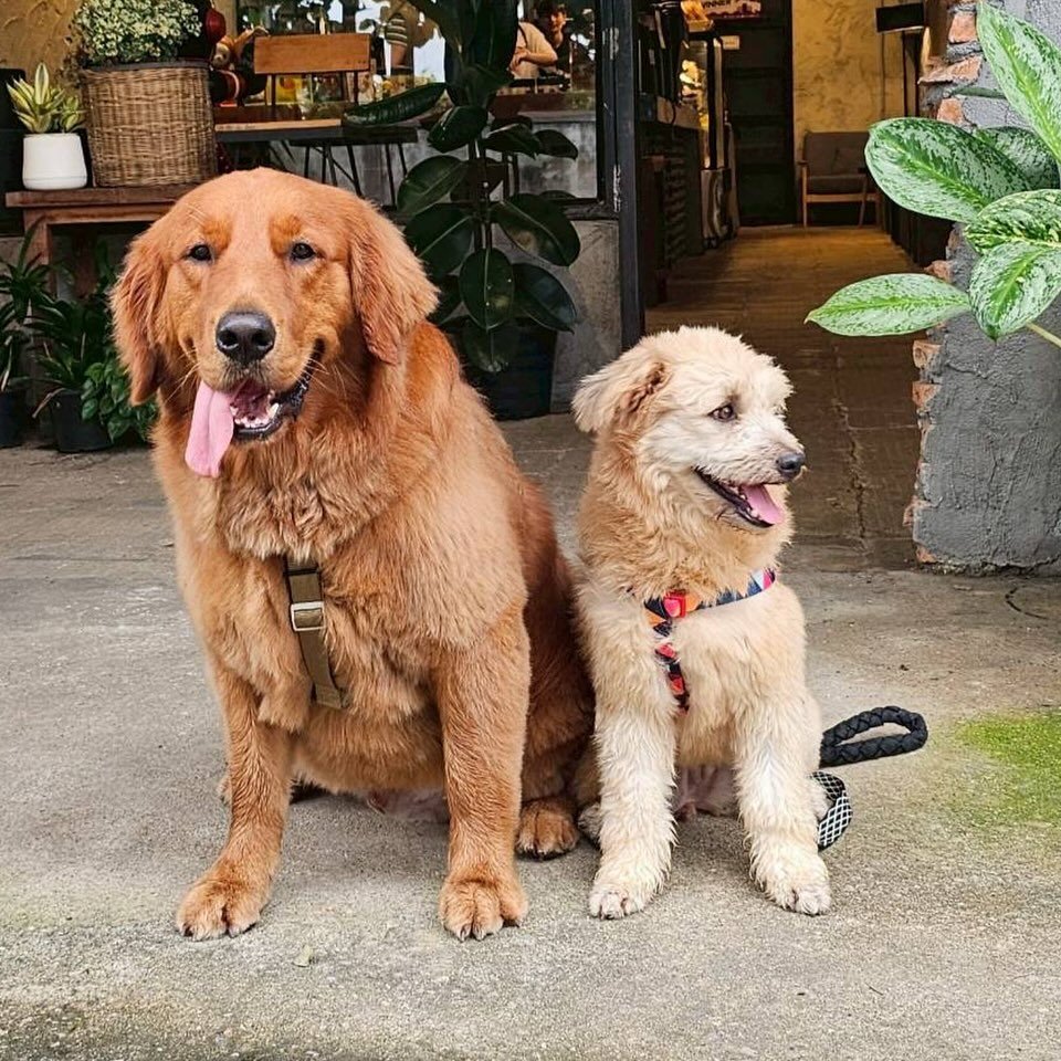 น่ารักอบอุ่นละมุนใจมากๆค่ะ #ohmthitiwat #BebearKhaitun