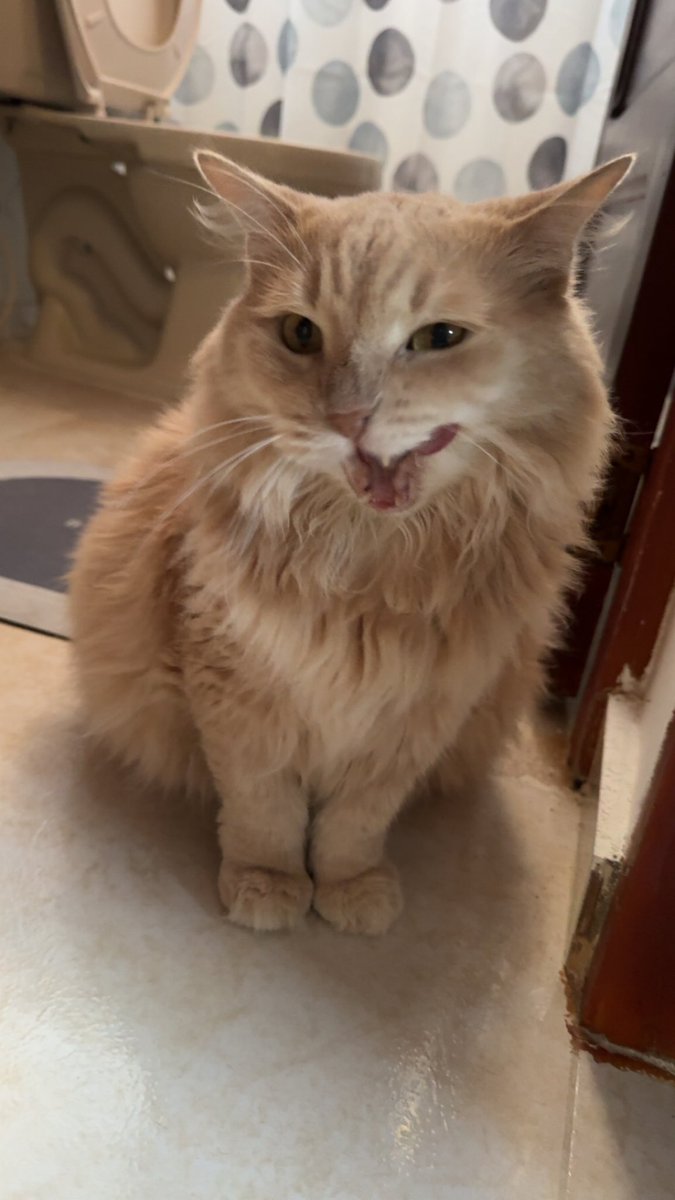 Jarcorrr tweet media