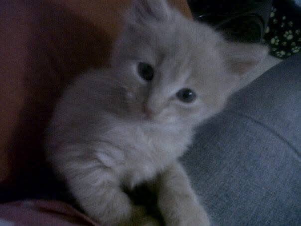 Jarcorrr tweet media