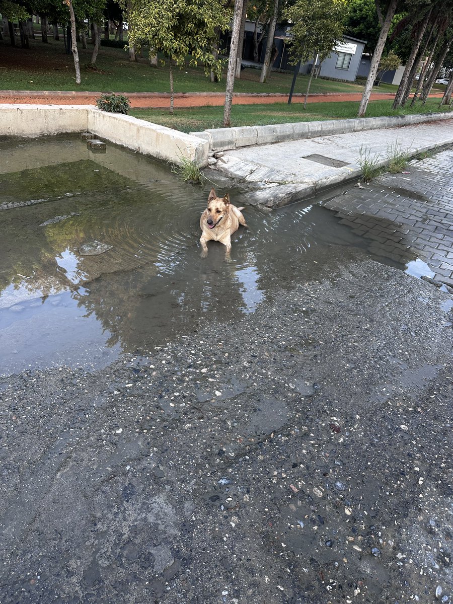 Sabah serinliği😊