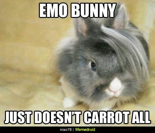 👀👀👀👀 <a href="/playthatjohn/">John Newton</a>