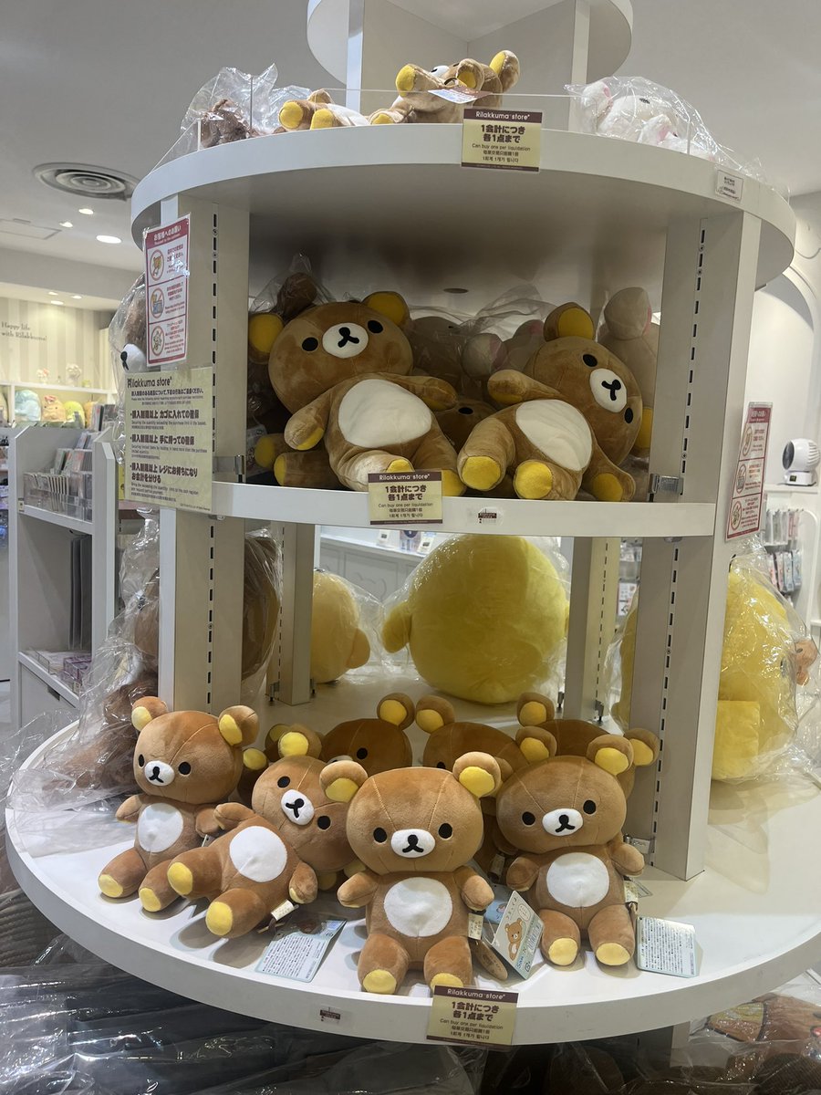 くまさん ピーバイキュー（p×q）（キッズ）マスコットキーホルダー くま
