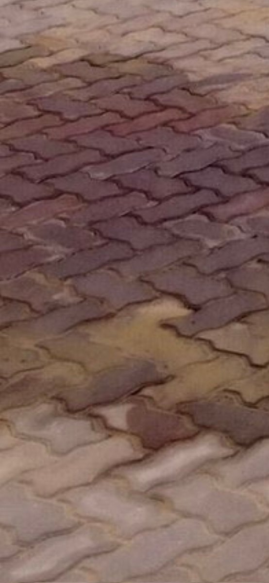 Brett Ben Raphael (@brettbenraphael) on Twitter photo Lilian Ngoyi paving... I'm not a bricklayer but this would concern me especially as hundreds of millions have been spent...any quality control checks on Phase 1 dear Mayor... <a href="/DadaMorero/">Executive Mayor of the City Of Joburg</a> Lilian Ngoyi paving... I'm not a bricklayer but this would concern me especially as hundreds of millions have been spent...any quality control checks on Phase 1 dear Mayor... <a href="/DadaMorero/">Executive Mayor of the City Of Joburg</a>