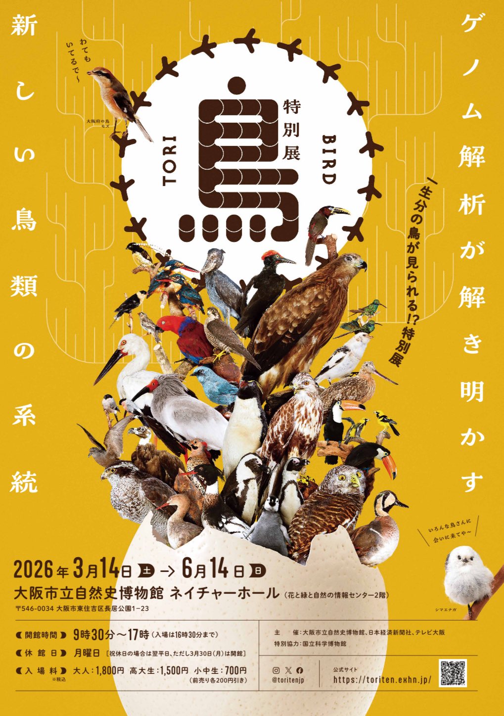 こねぎページ 超低頭木ねじ 2.7×13 YAHATA ブロンズ 2.7×13mm