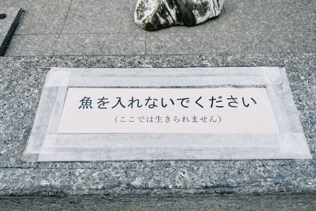 ハイジ (@daydream_pig) on Twitter photo 