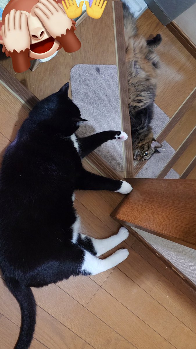 二重トラップ…