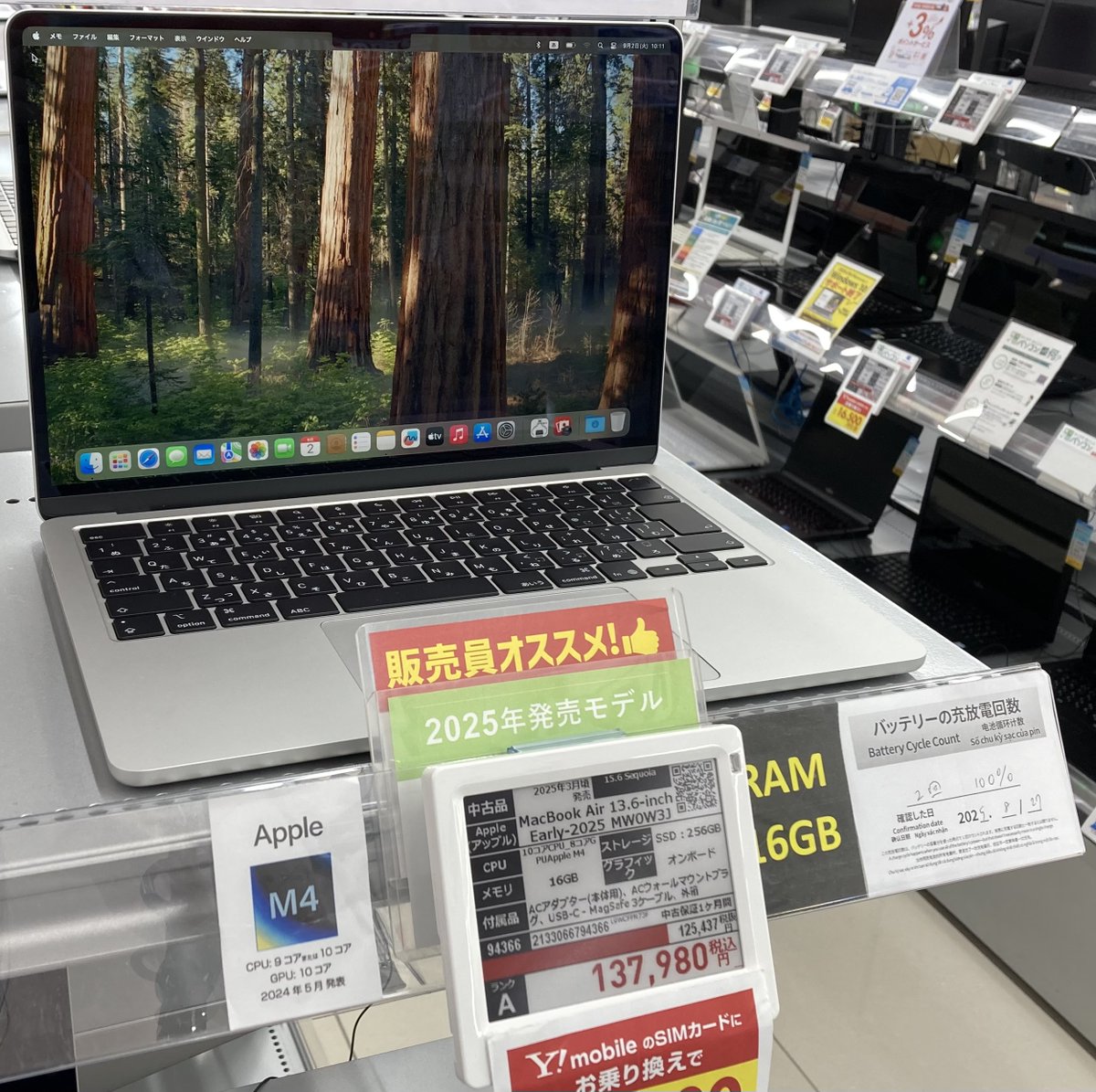 Apple 13-inch MacBook Air: M4 w/ 10-core CPU and 8-core GPU, 256GB 