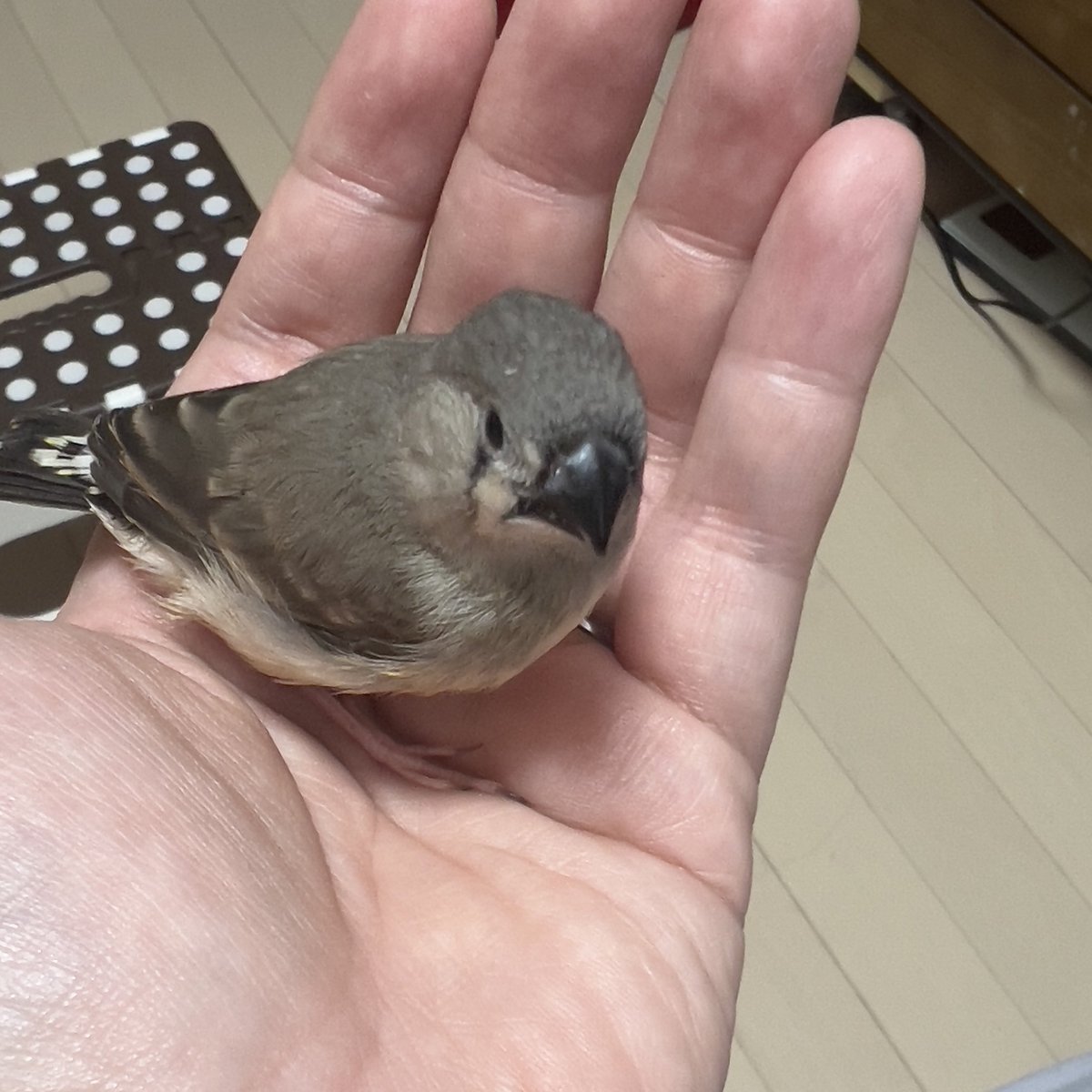 ←ちょうど3週間前に生まれたとき
今→