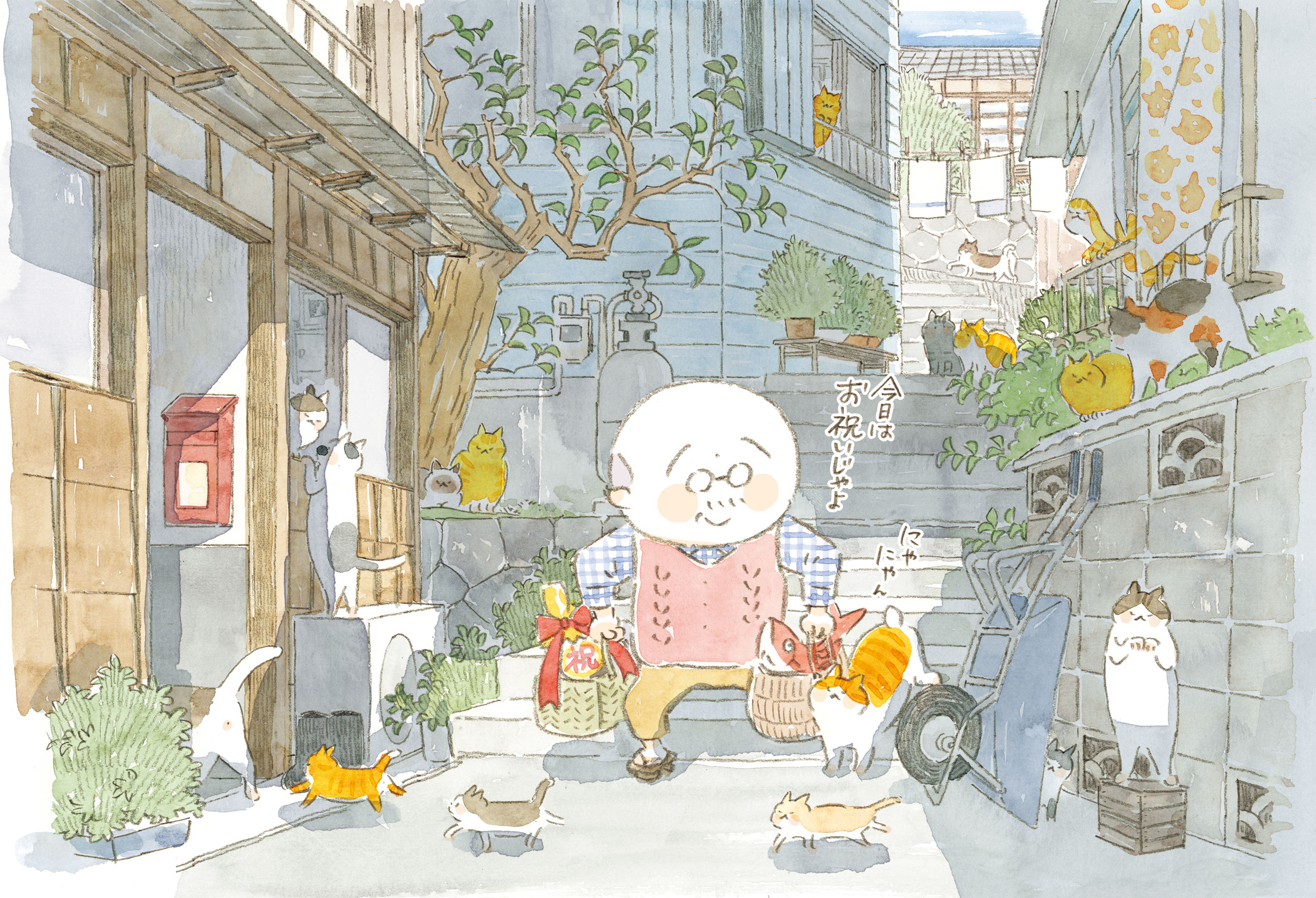 ねことじいちゃん１〜１１巻セット Amazon.co.jp: ねことじいちゃん 1-11巻セット : ねこまき