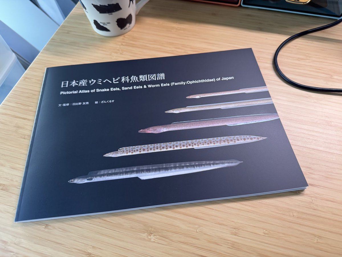 たなっちょ / Hayate TANAKA tweet media