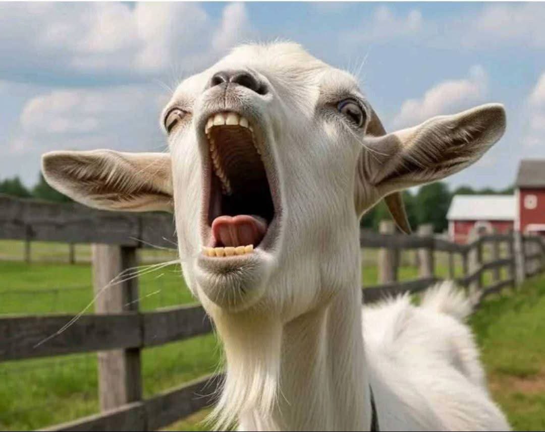 engbitso's tweet image. Gents when you see this face just know you are doing it right