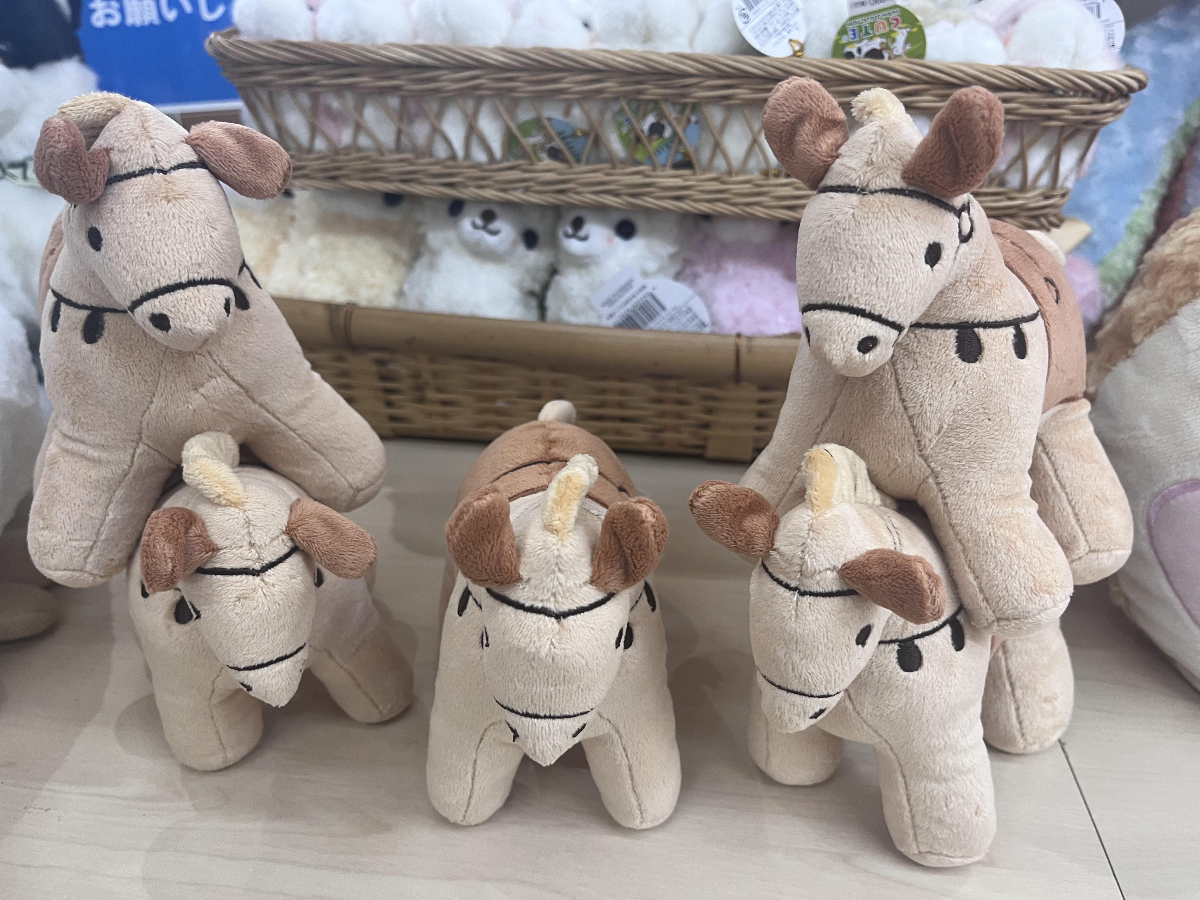 伊香保グリーン牧場SHOP on X: 