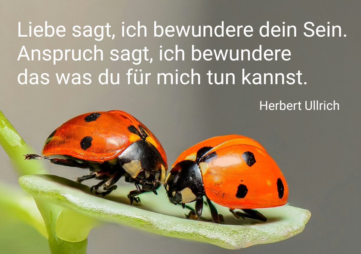 herbert_ullrich's tweet image. Liebe sagt: Ich bewundere dein Sein, sehe deine wahren Wünsche und Grenzen. ❤️
Anspruch sagt: Ich benutze dich für meine Wünsche. ❌

#Liebe #Respekt #Selbstwert #Grenzen #Beziehung #Beziehungstipps