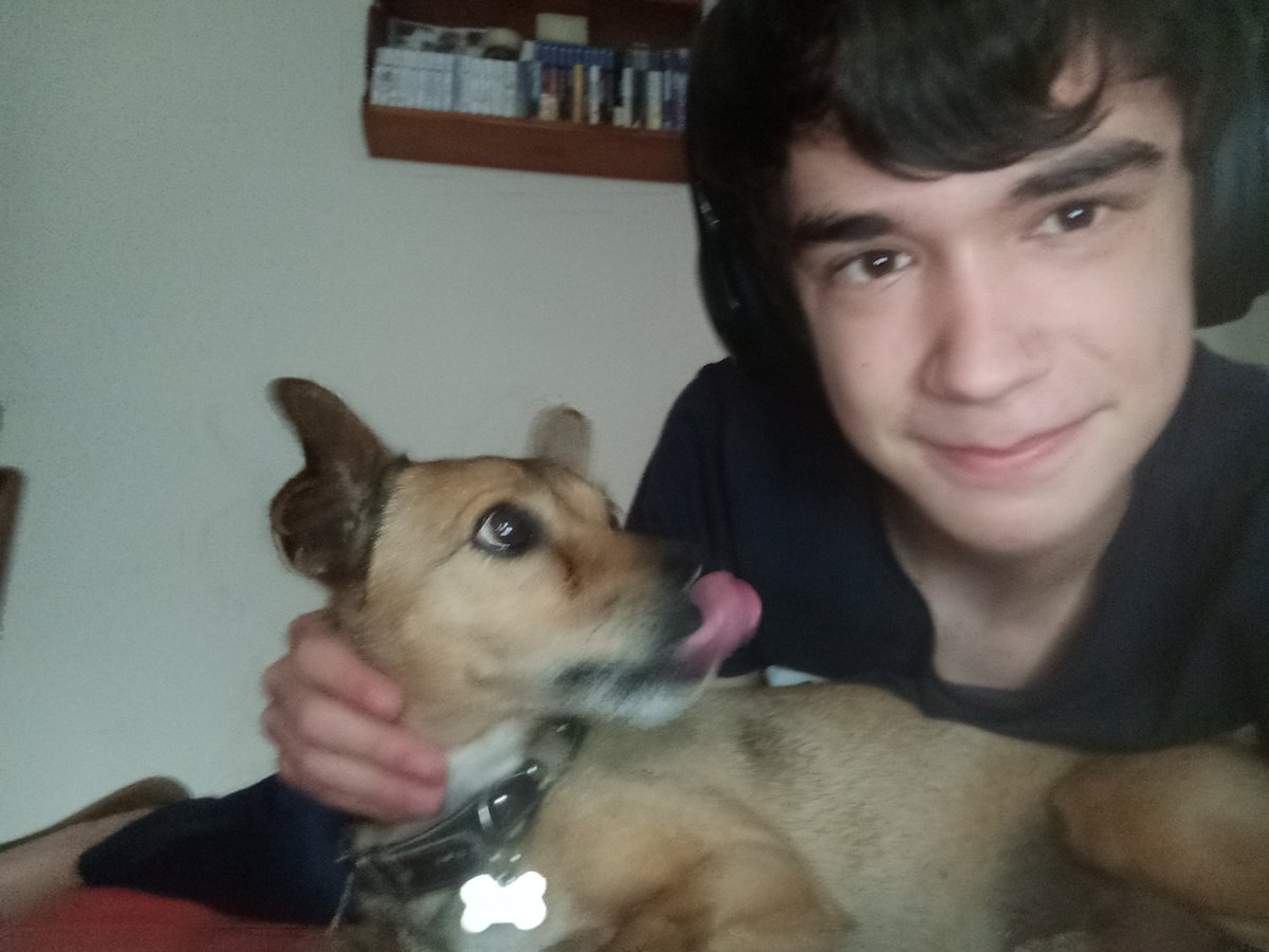 Gracias por estos 12 años a tu lado, descansa en paz Benito. Te acabas de ir y ya te añoro