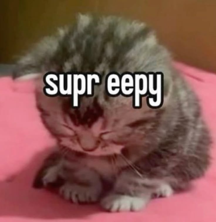 validatiun's tweet image. snorkmimimimimi honk schoo mimimimimi