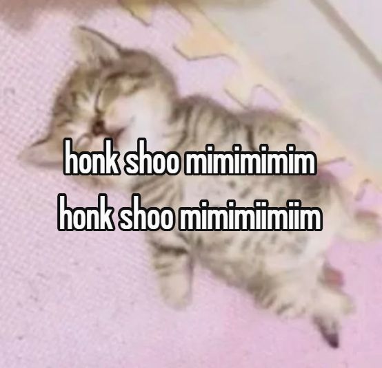 validatiun's tweet image. snorkmimimimimi honk schoo mimimimimi