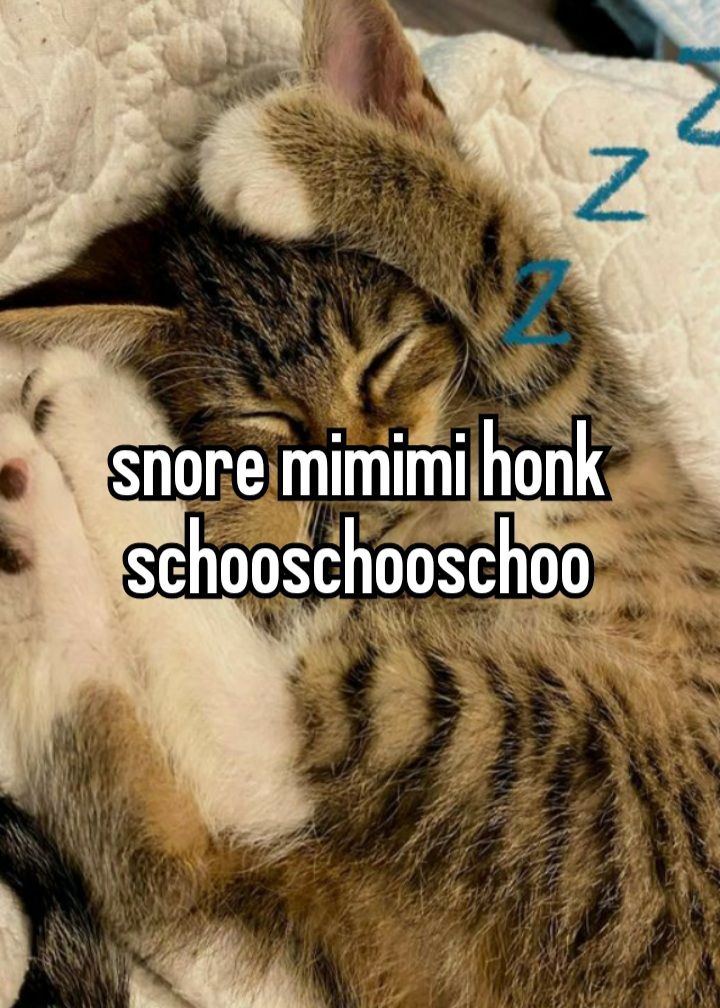 validatiun's tweet image. snorkmimimimimi honk schoo mimimimimi