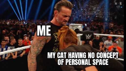😹