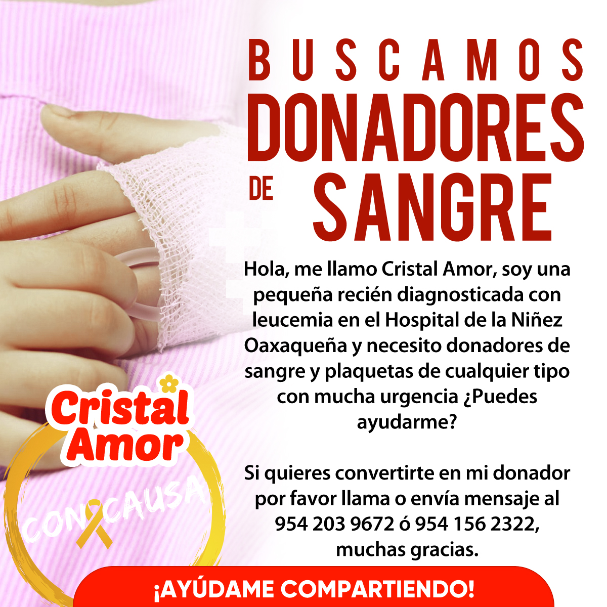 ConCausaMX's tweet photo. La pequeña Cristal Amor se encuentra delicada por su diagnóstico reciente y necesita donadores de sangre y plaquetas. Ayúdanos compartiendo esta publicación y si puedes, también donándole 🩸🎗️❤️ #Oaxaca #DonaSangre #ConCausa https://t.co/57h54IU3hd