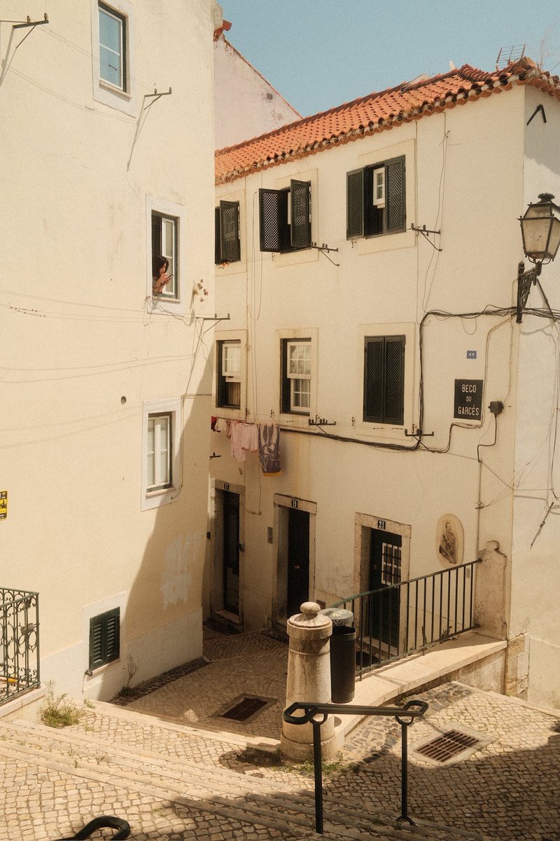 sarx 🕊️ tweet media